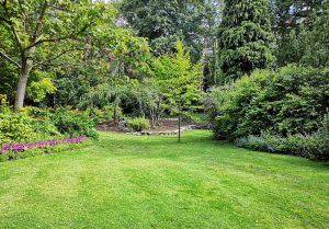 Optimiser l'expérience du jardin à Sainte-Honorine-la-Guillaume